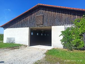 IMG_20250825_135546_Halle Torseite.jpg