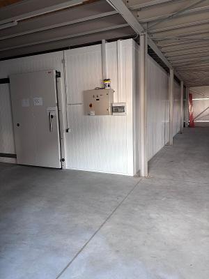 Halle_Kühlraum (2).jpg