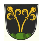 Wappen Stadt Traunstein 