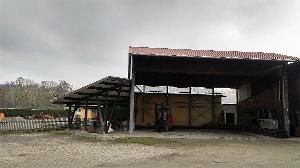 Obermeyer Pic._2.jpg