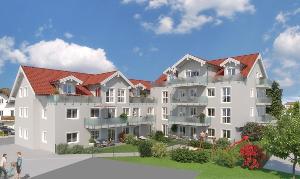 Grafing-1-v2.jpg
