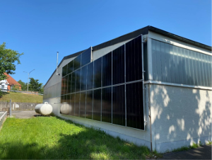 Bild5.png