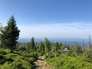 20180529-rachel-wanderweg-waldschmidthaus-wald-junger-wald-jungwuchs-sandra_sch