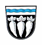 Wappen Pfatter 