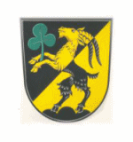 Wappen Riekofen 
